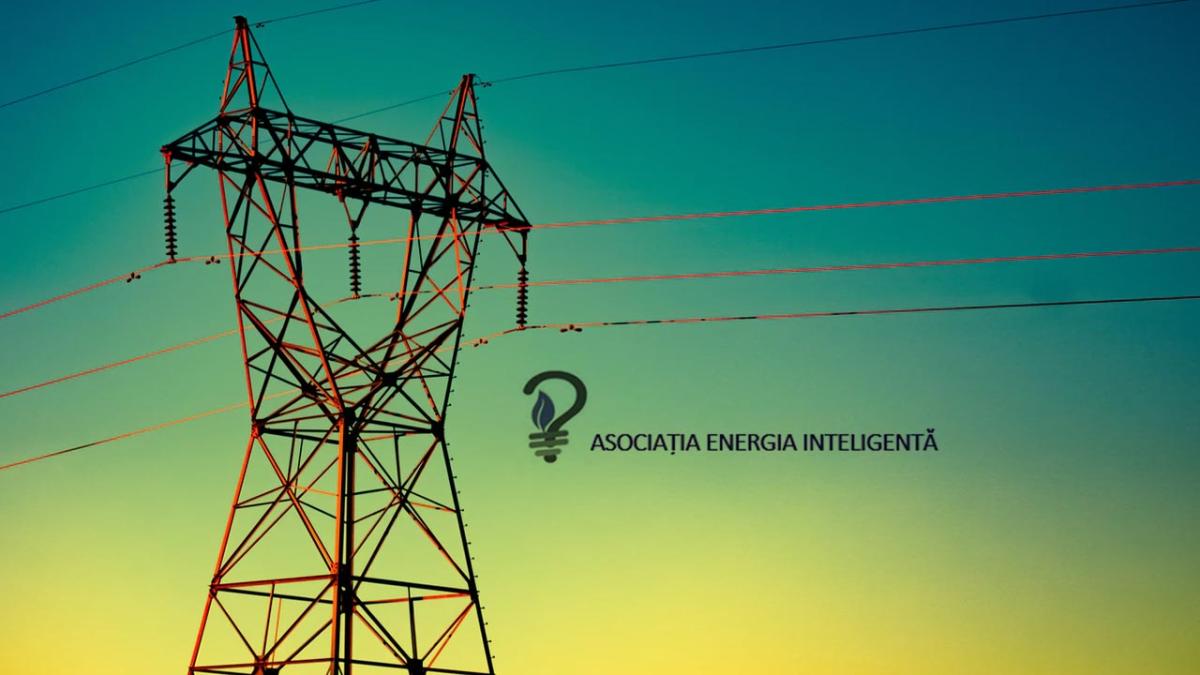 asociatia-energia-inteligenta-pret-corect-energie-electrica-cursuri-online-em360_31816200