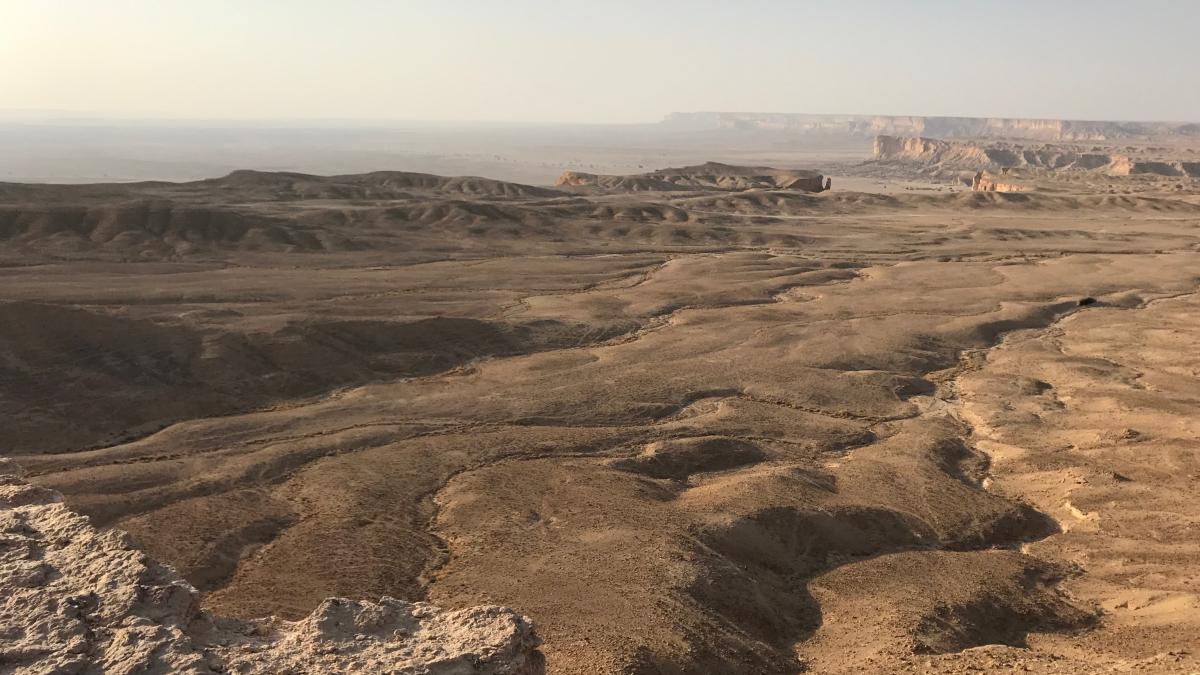 sayaka-ganz-dzvadazjjrk-unsplash_95931800