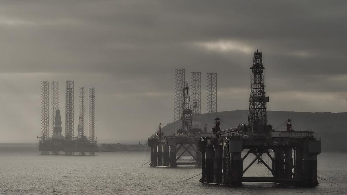 46600042654_3c3fa5fc1c_b_98430300