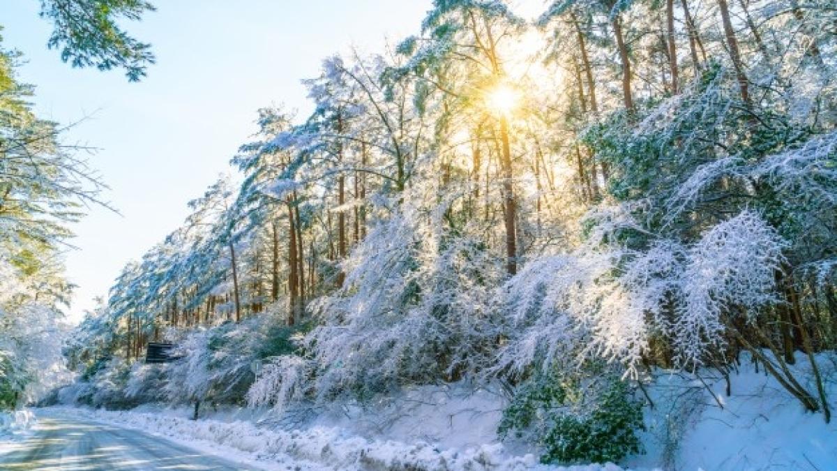 Alaska se confruntă cu ICEMAGEDDON, apocalipsa gheței VIDEO