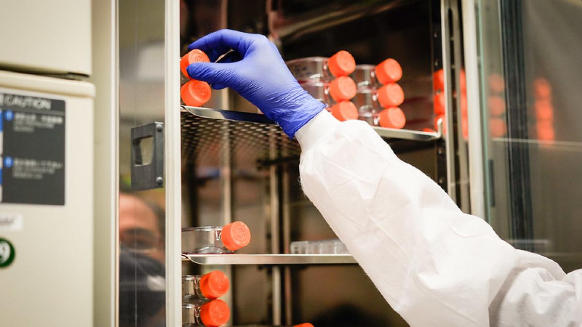 51657215053_ab4e4420e1_c_79054700