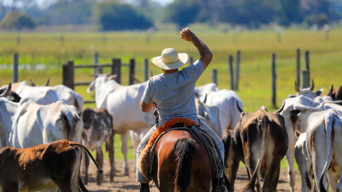 gaucho-argentina_19271900
