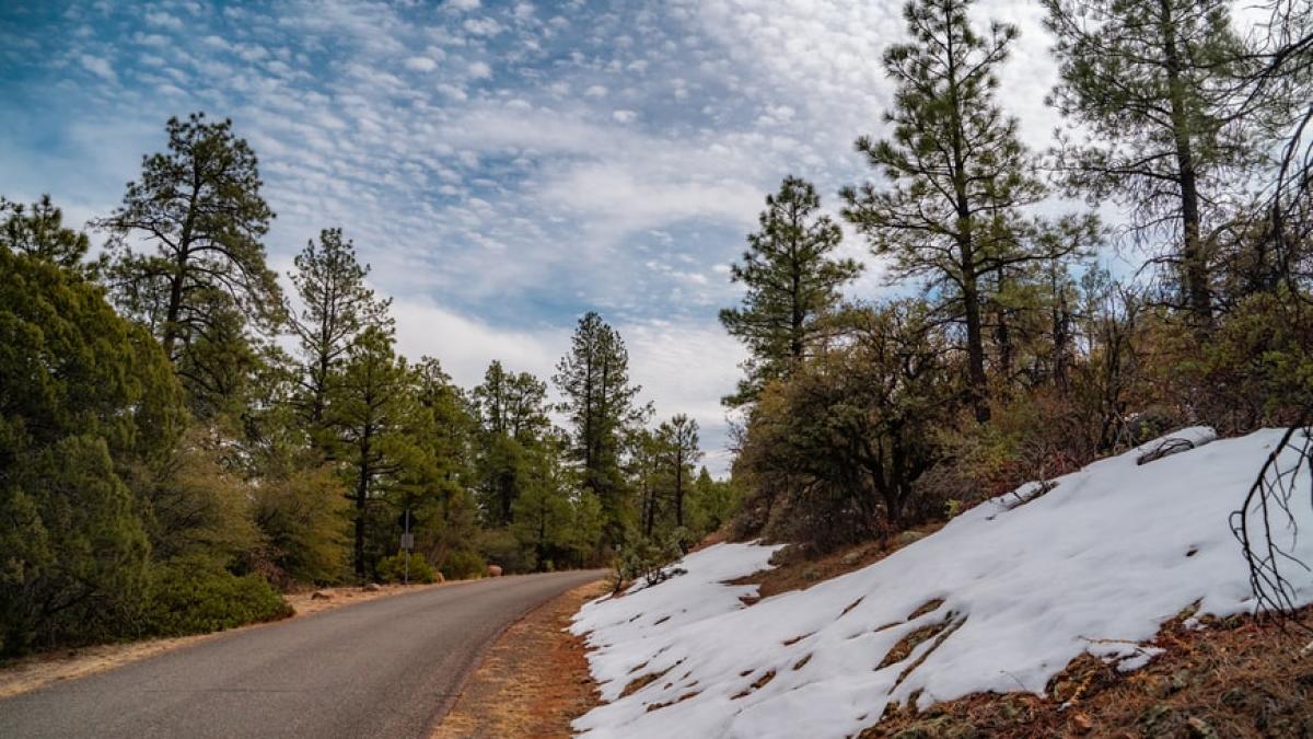 photo-1613076807974-cd4aa34748e1_76352700