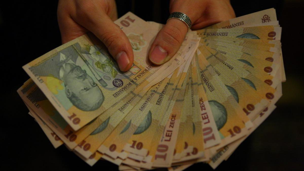 pavo0233_resize_41309800