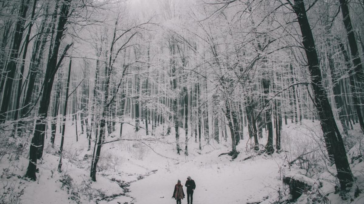 photo-1482261764648-3e74f3fe9342_56332500