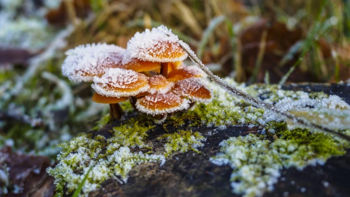 meteo-februarie_93818000