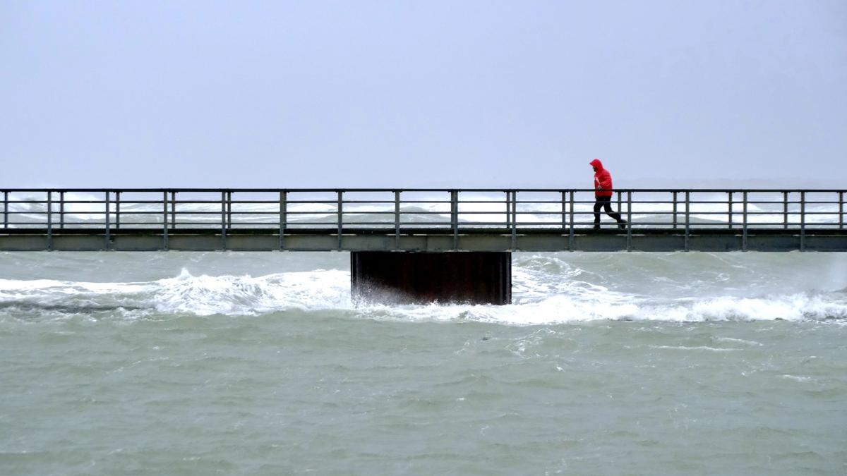 272994529_264196889119870_7649962161219961609_n_05208400