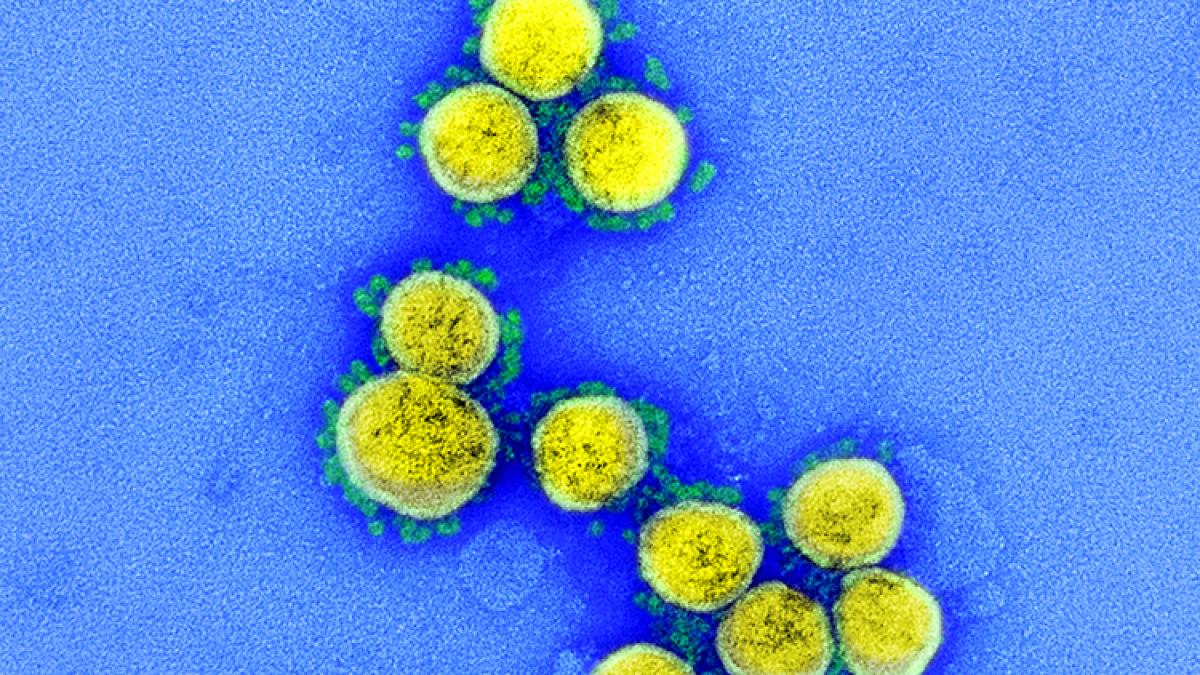 omicron-ba2-subvarianta-covid_63855000