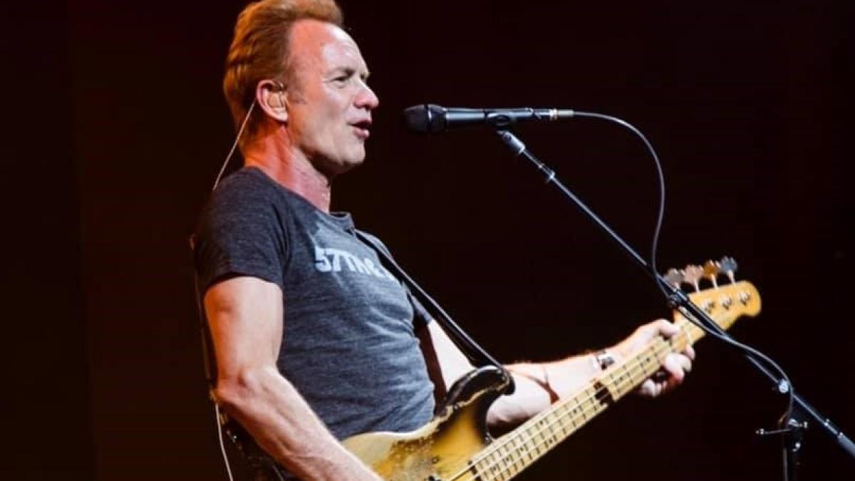 sting_64790700