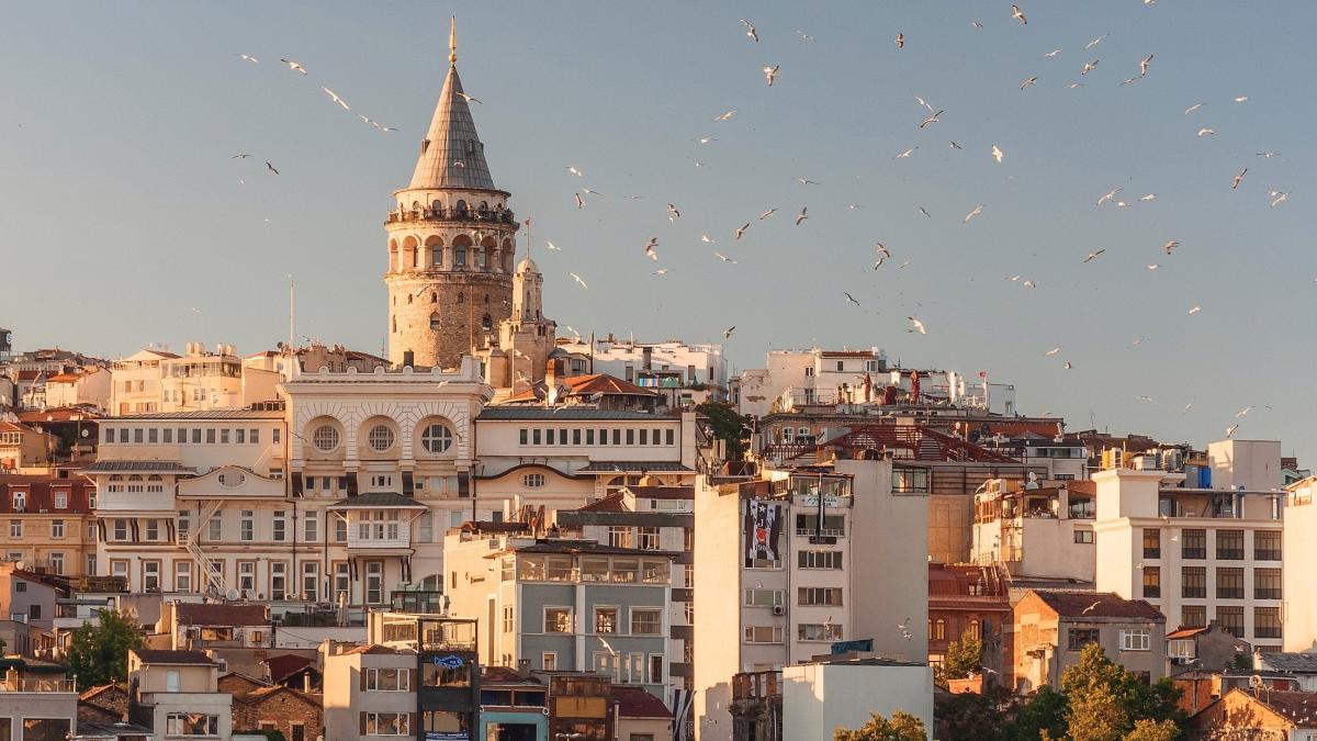 anna-berdnik-0n0ahb1fgtq-unsplash_37537800