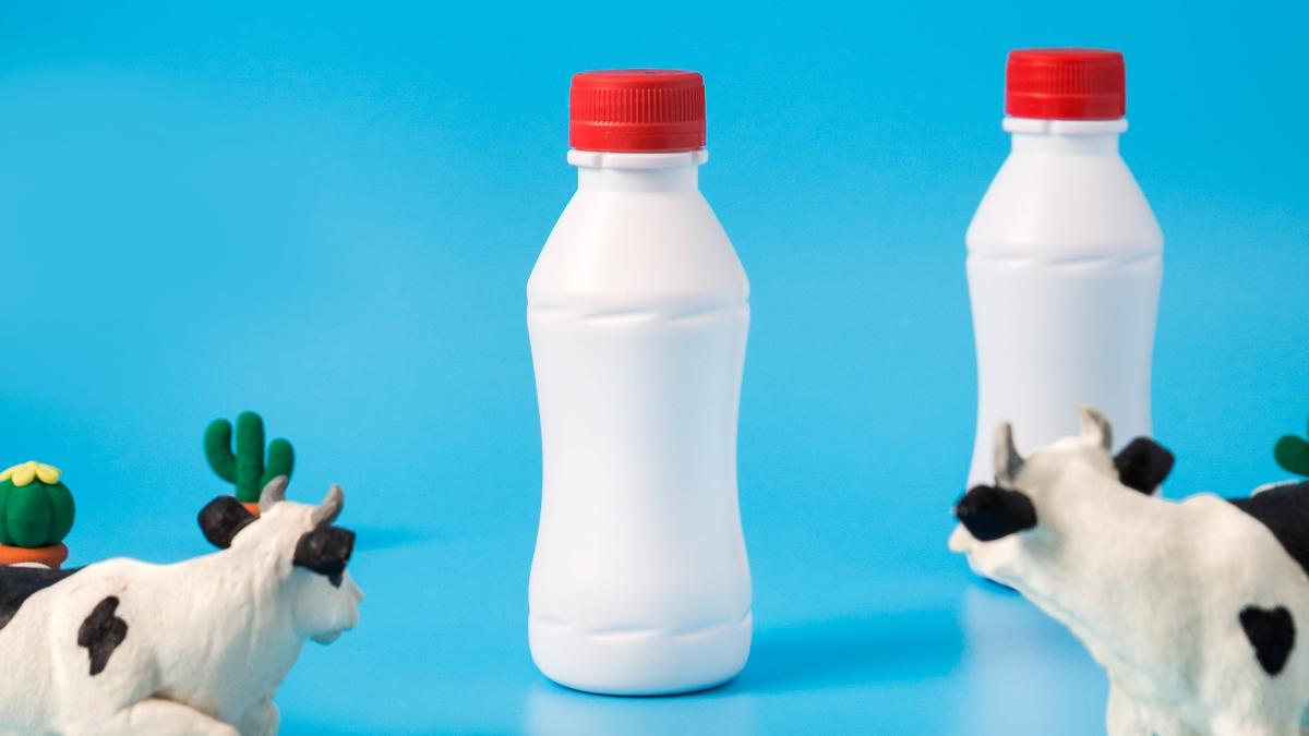 mae-mu-ru4jydilhsi-unsplash_42247200