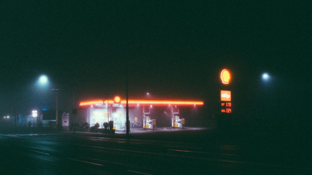 shell-pexels-lukas-rychvalsky-939807_82012100