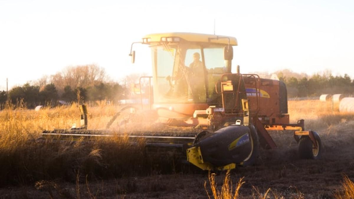 agricultura_61751800