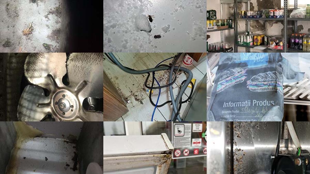 mizerie-lukoil_93734900