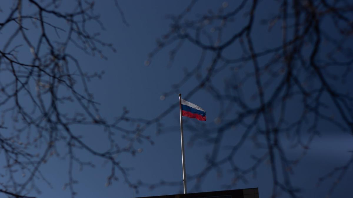 pexels-photo-9811494_82263200