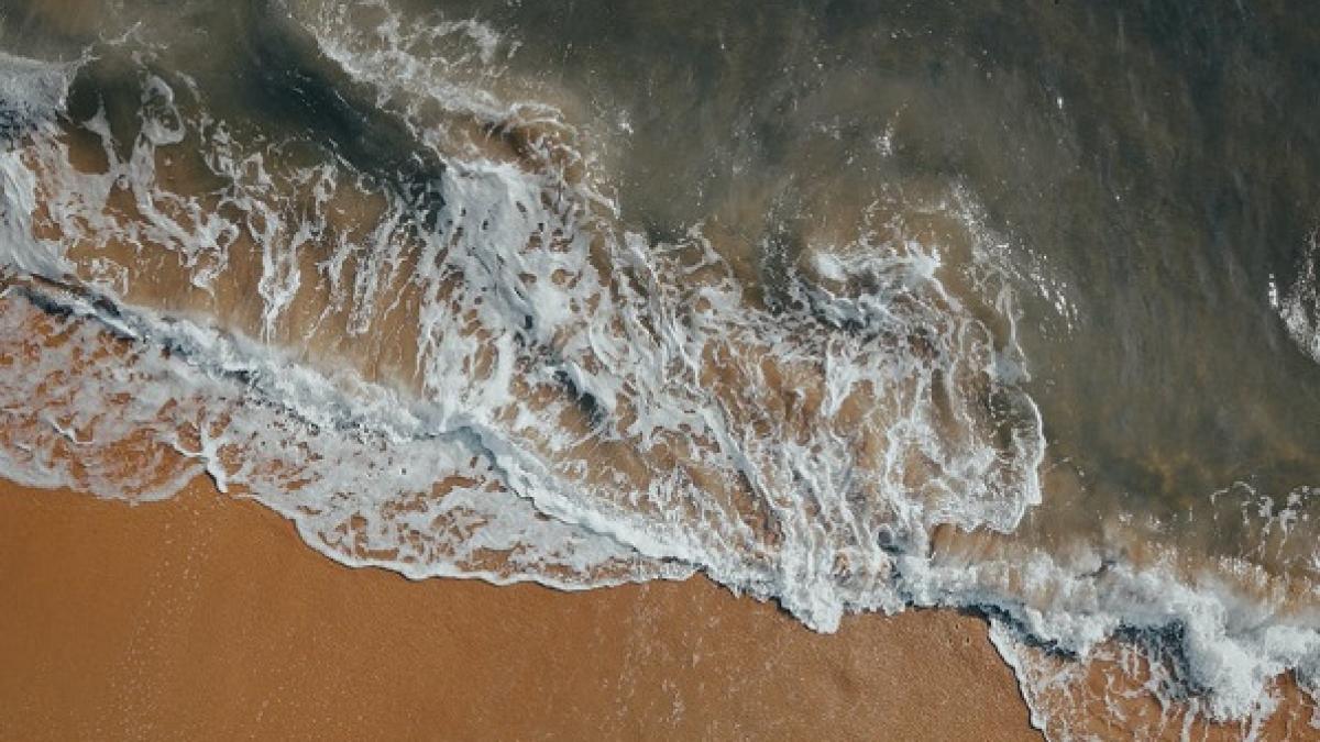 pexels-photo-8961751_89702300