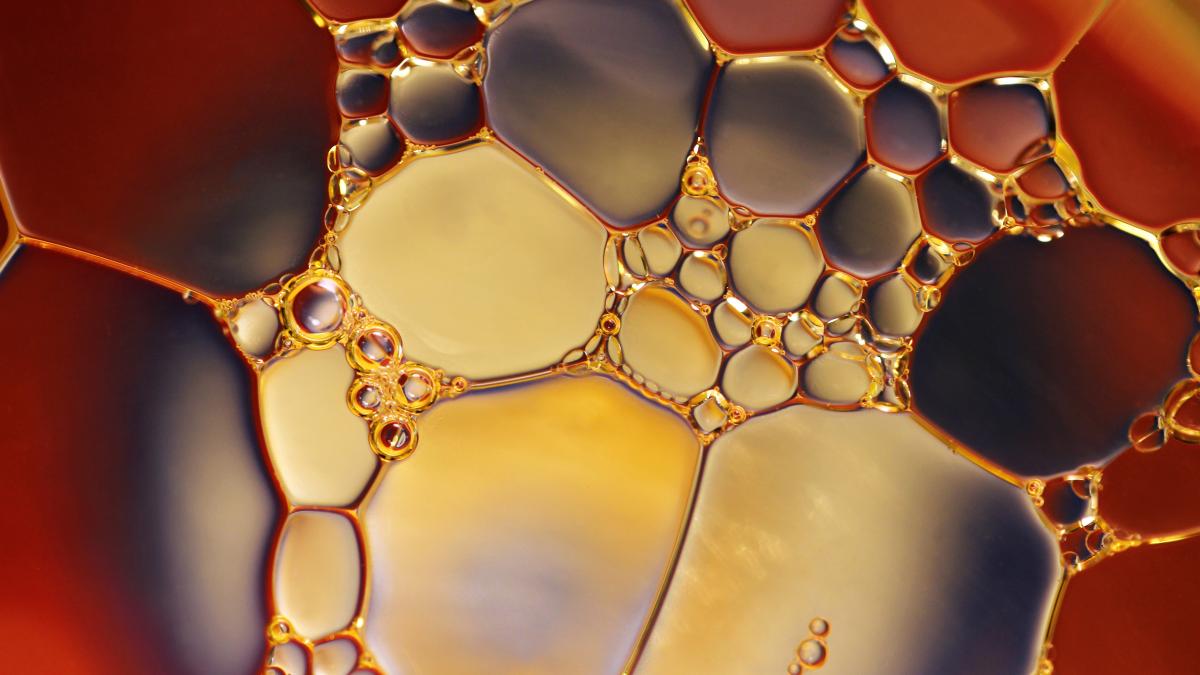 pexels-pixabay-220989_13220900