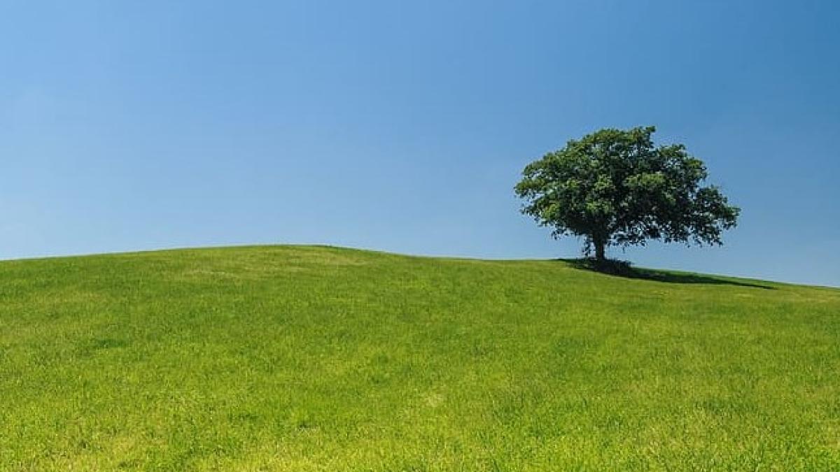 Criza energetică. Gabriel Comănescu (GSP): ”Eu văd o problemă mult mai gravă”