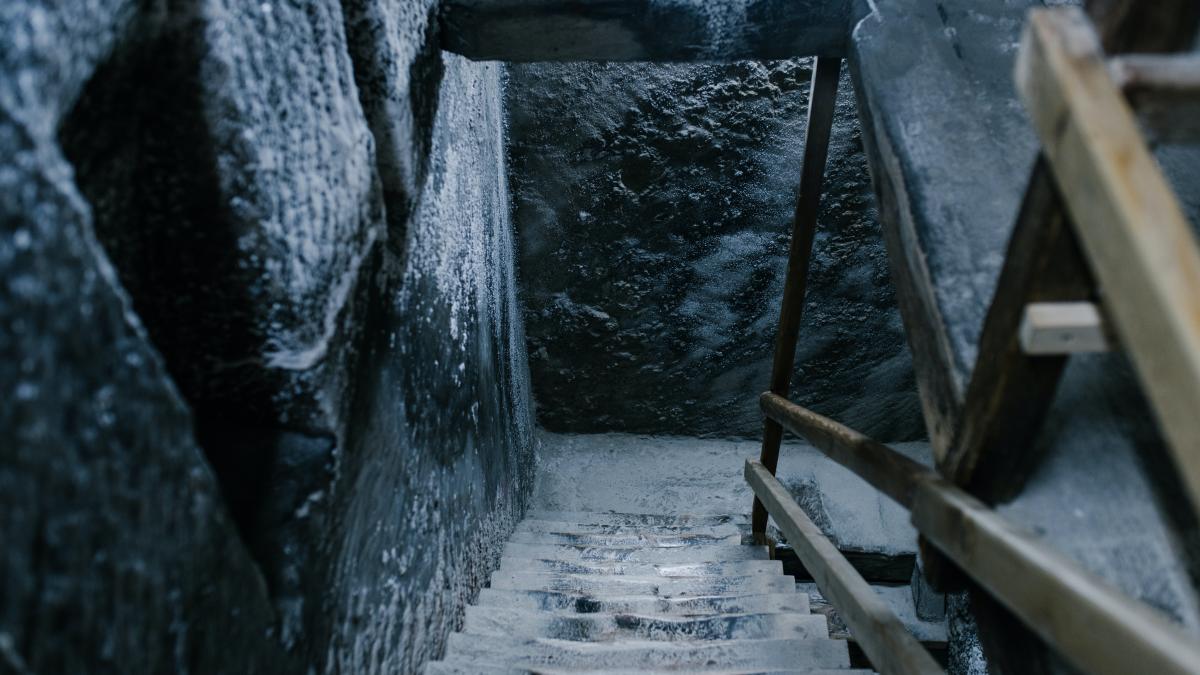 pexels-julia-volk-5206142_05116400