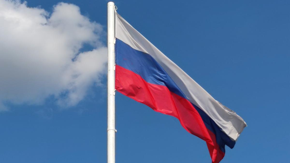 pexels-anna-tis-8834355_65032000