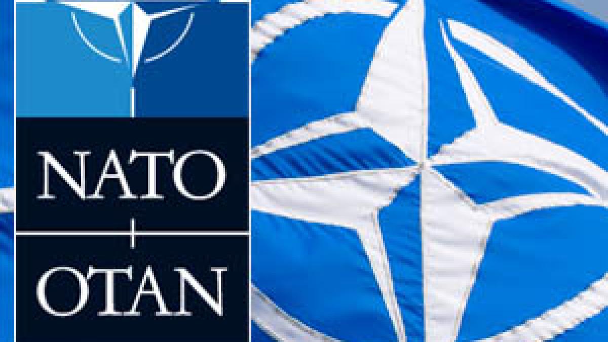 logo-nato_31241100