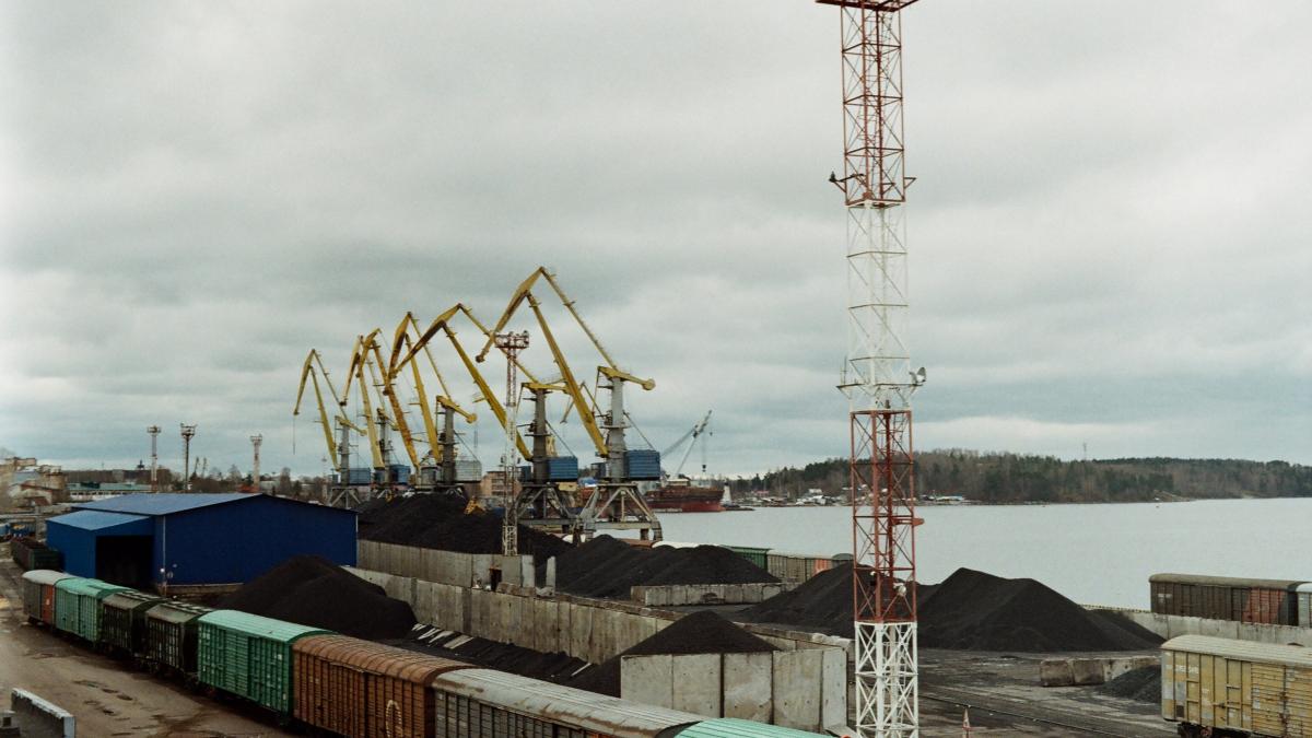 pexels-anastasia-borozdina-9829370_75536500