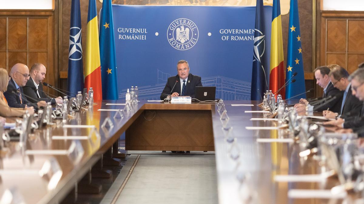 original_-producatori1405_91953700