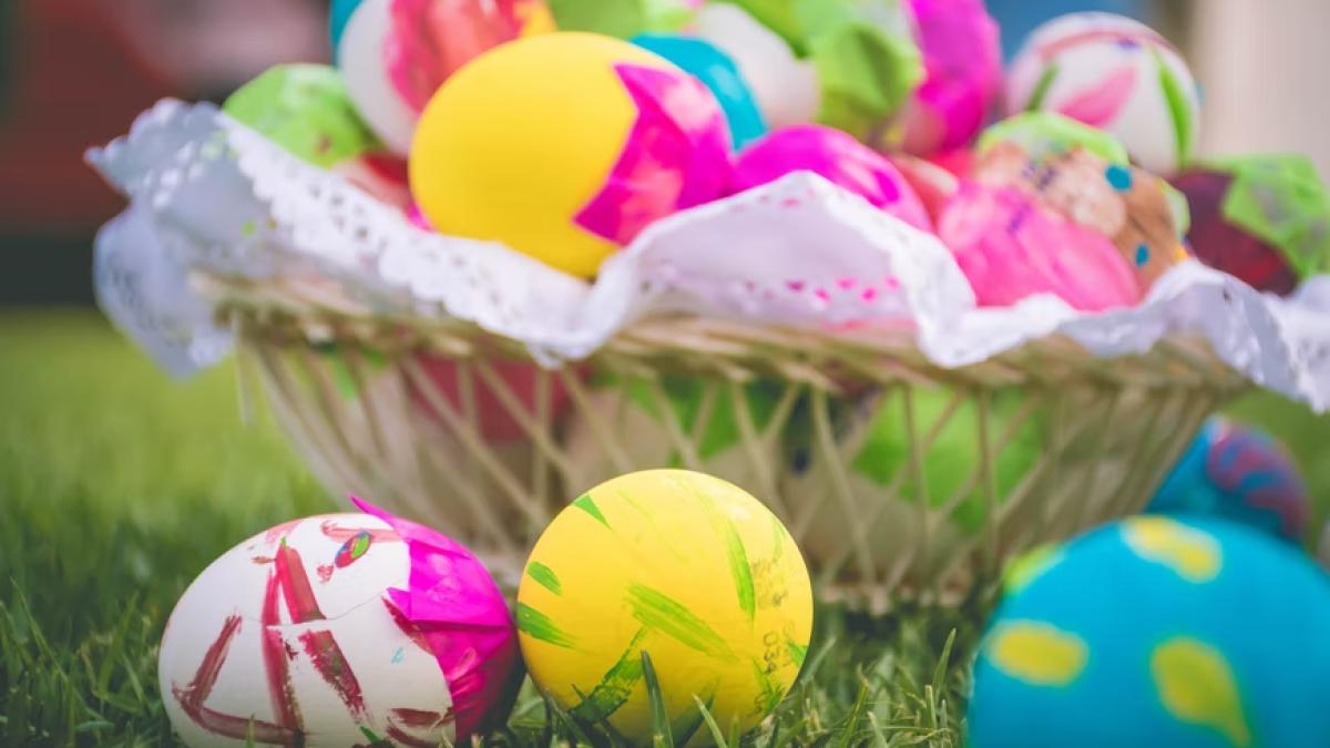 vopsea-de-oua_27837700