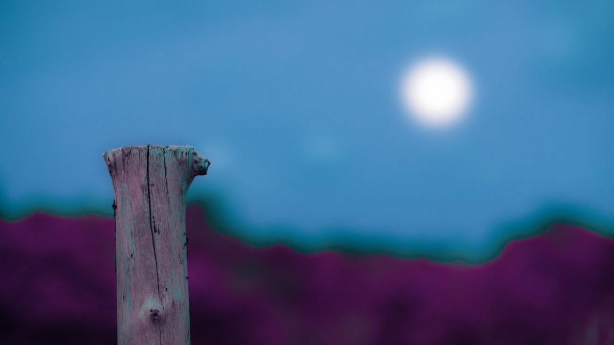 pexels-photo-2238318_09364100