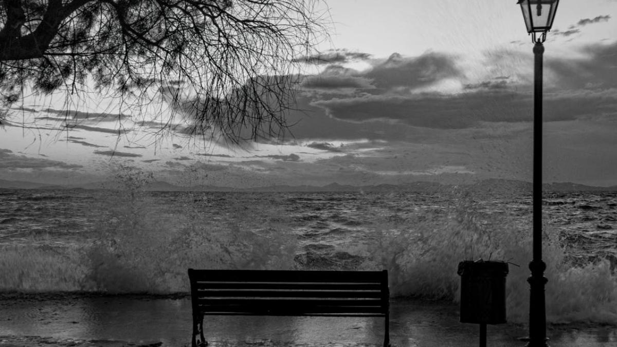 pexels-photo-93046_91124900