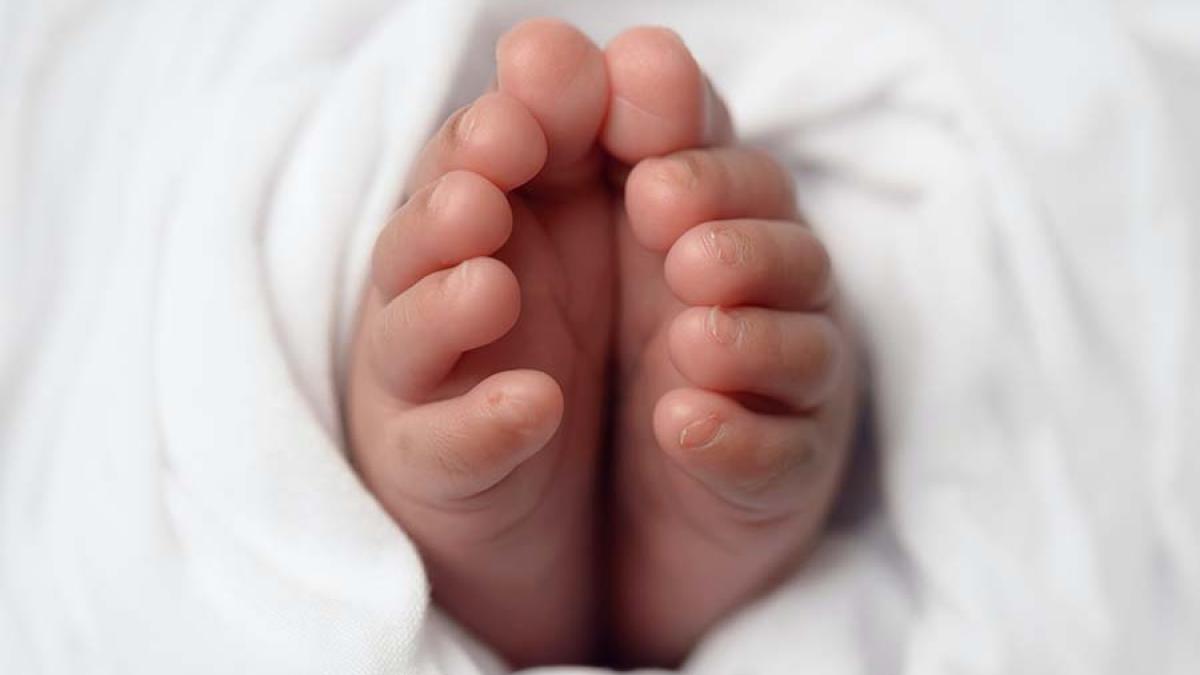 pexels-photo-826723_53263500