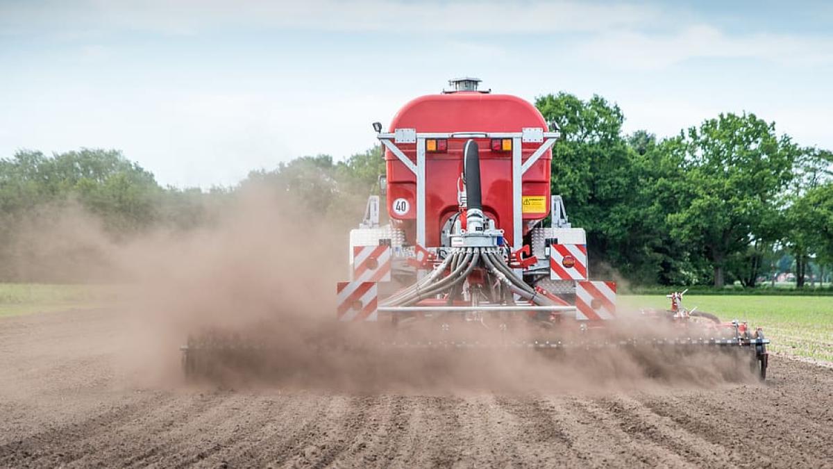 ingrasaminte_50969200