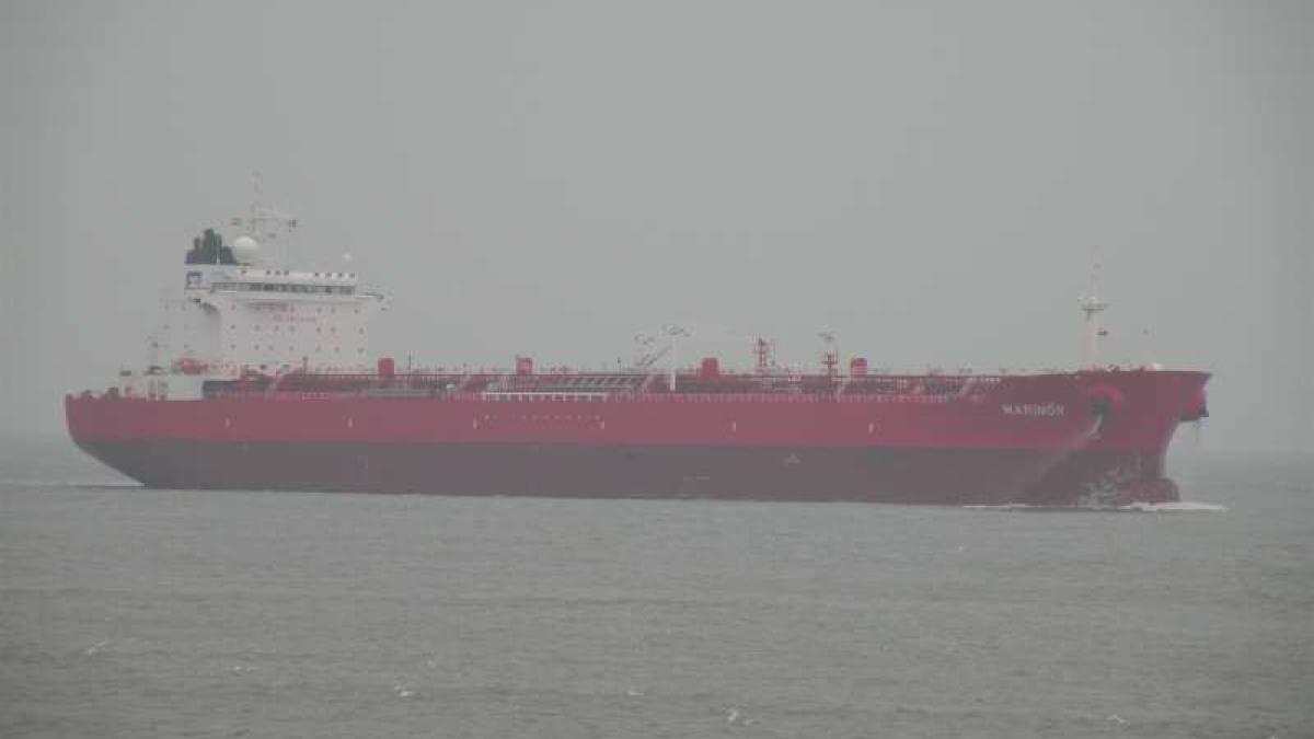 sunny-liger_35997000