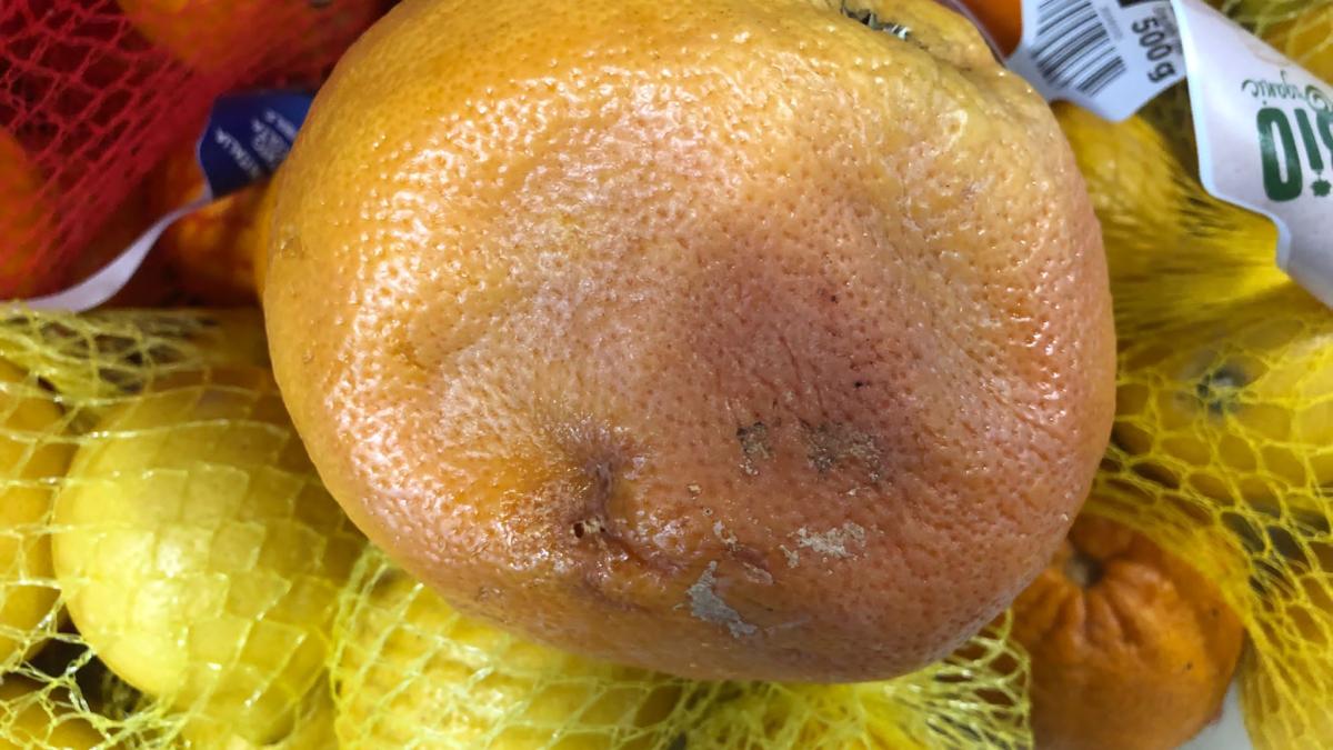 whatsapp-image-2022-05-03-at-20-32-24_15098000