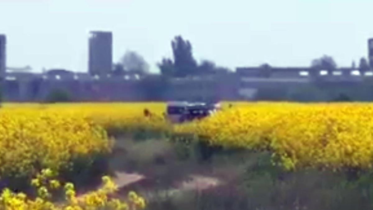 masina-camp_22857800