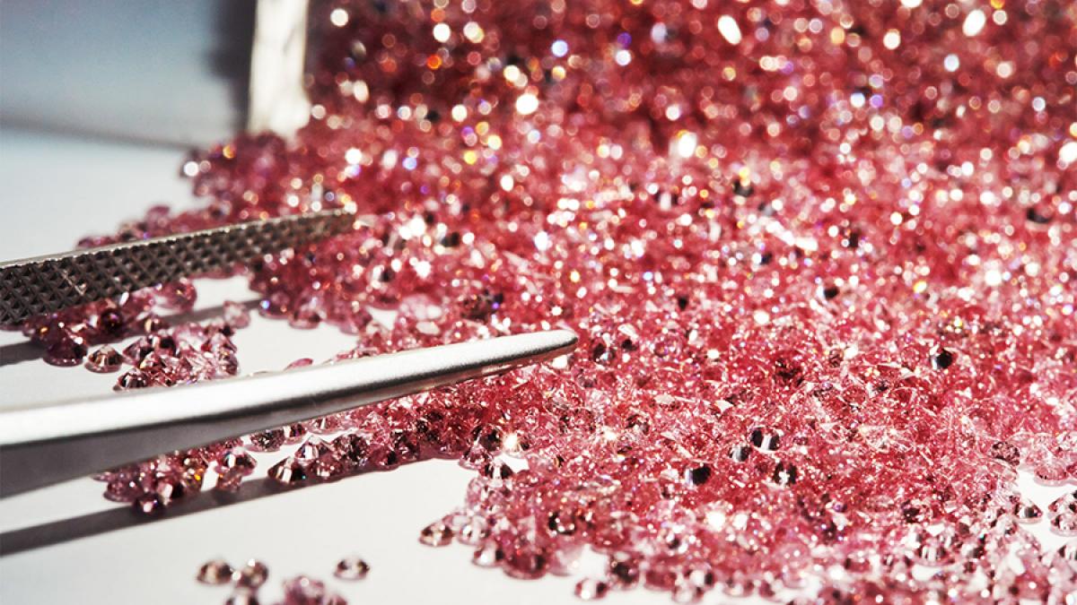 rt-argyle-everlastings_58000000