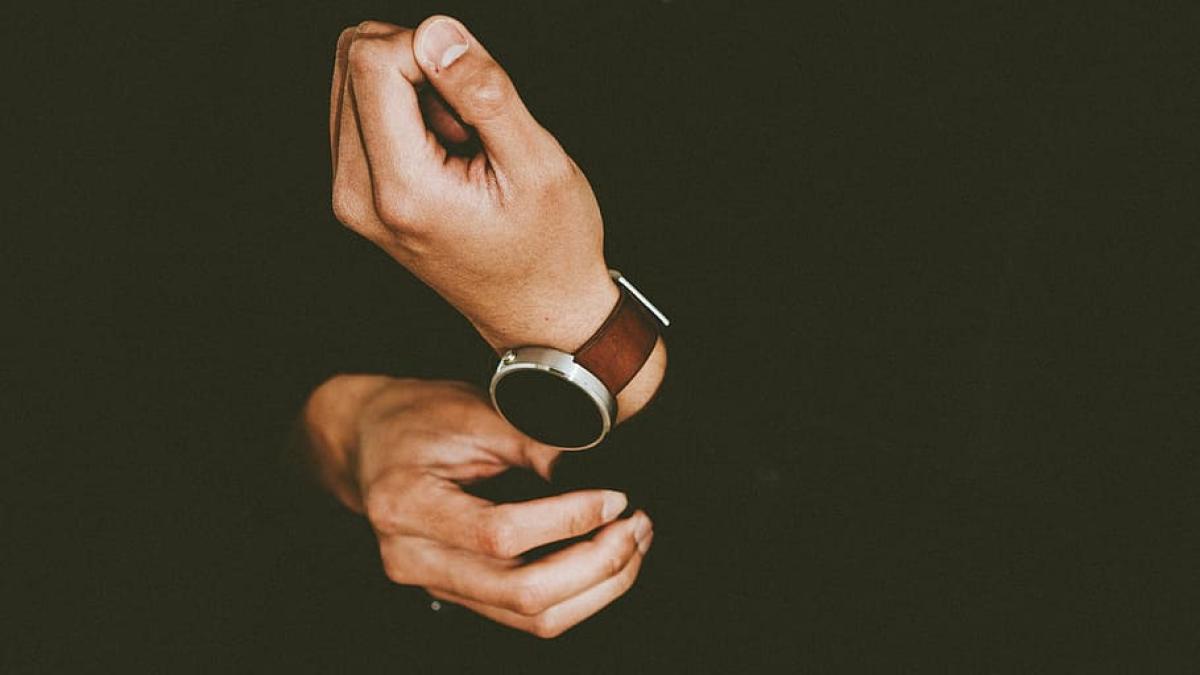 investitori_46445700