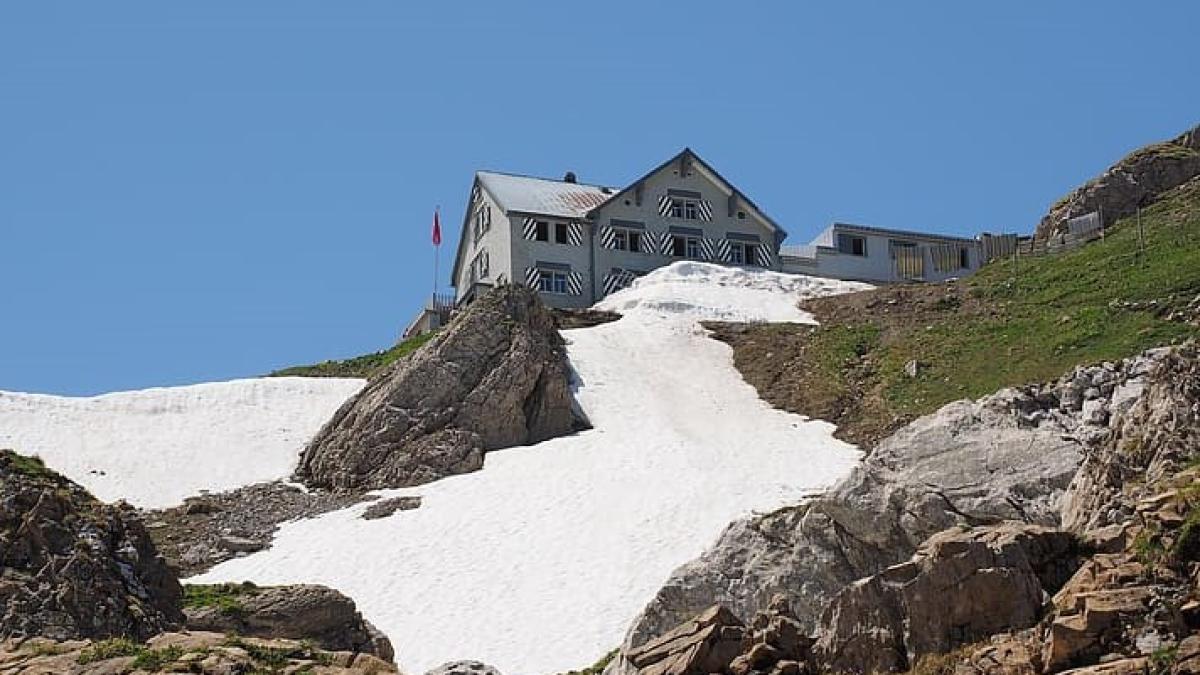 Drepturi de autor. Ce fac dacă am o pensiune în vârf de munte. Mario de Mezzo explică