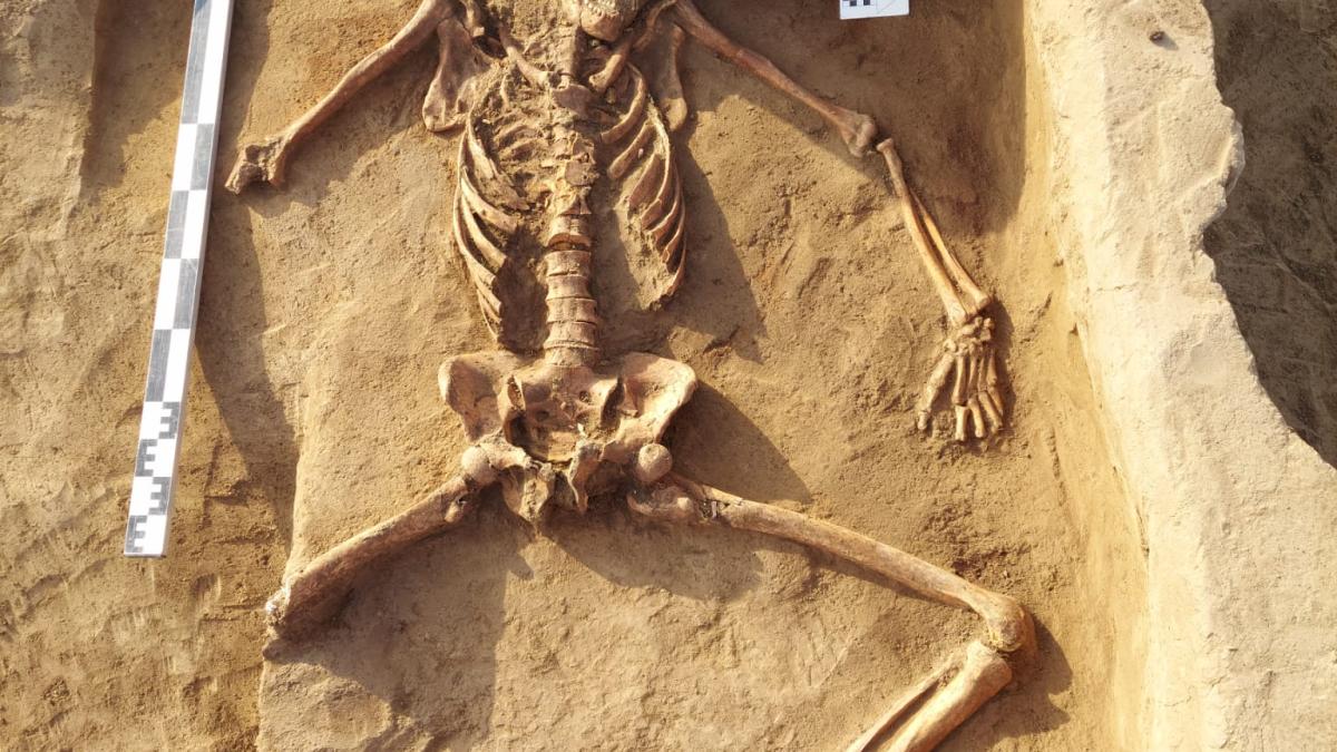 e-distributie---modernizare---tumuli-tulcea-6_01254100