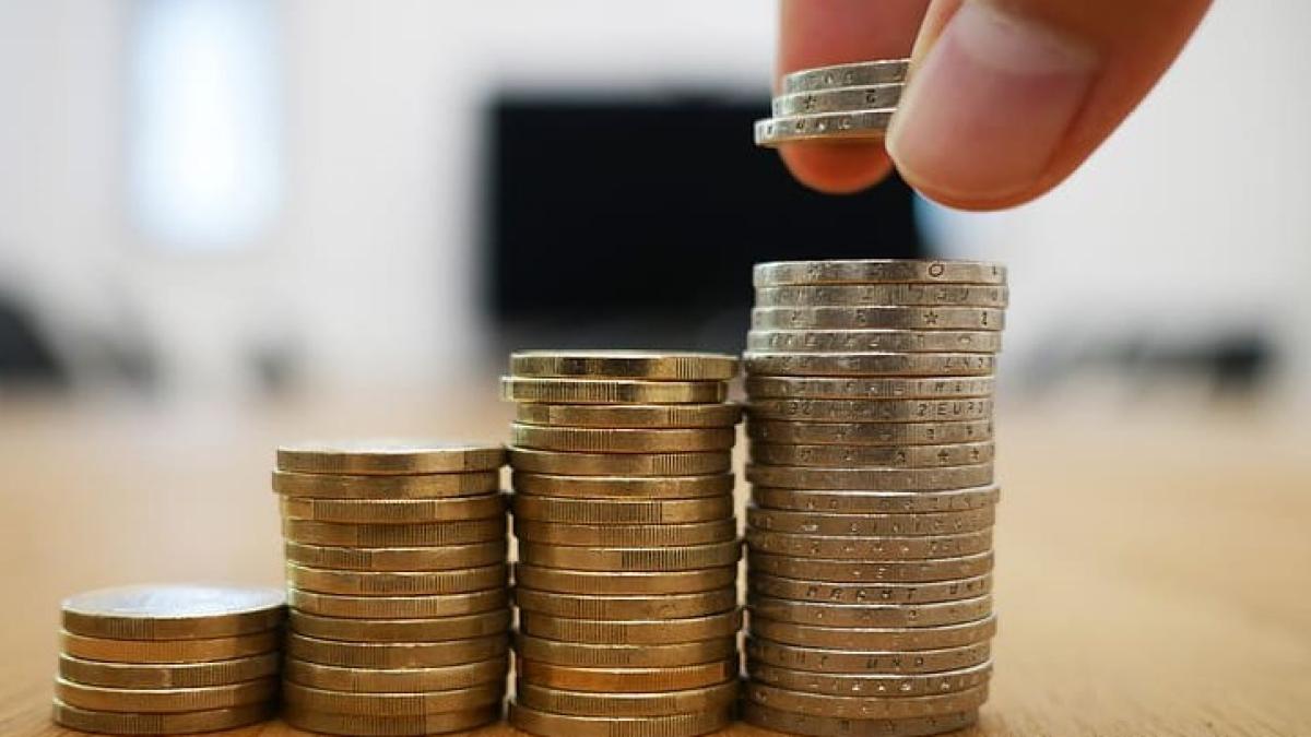 bani-in-plus_28861500