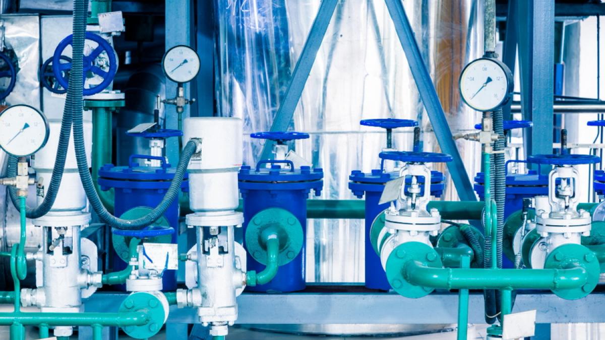 gaze_resize_34331800