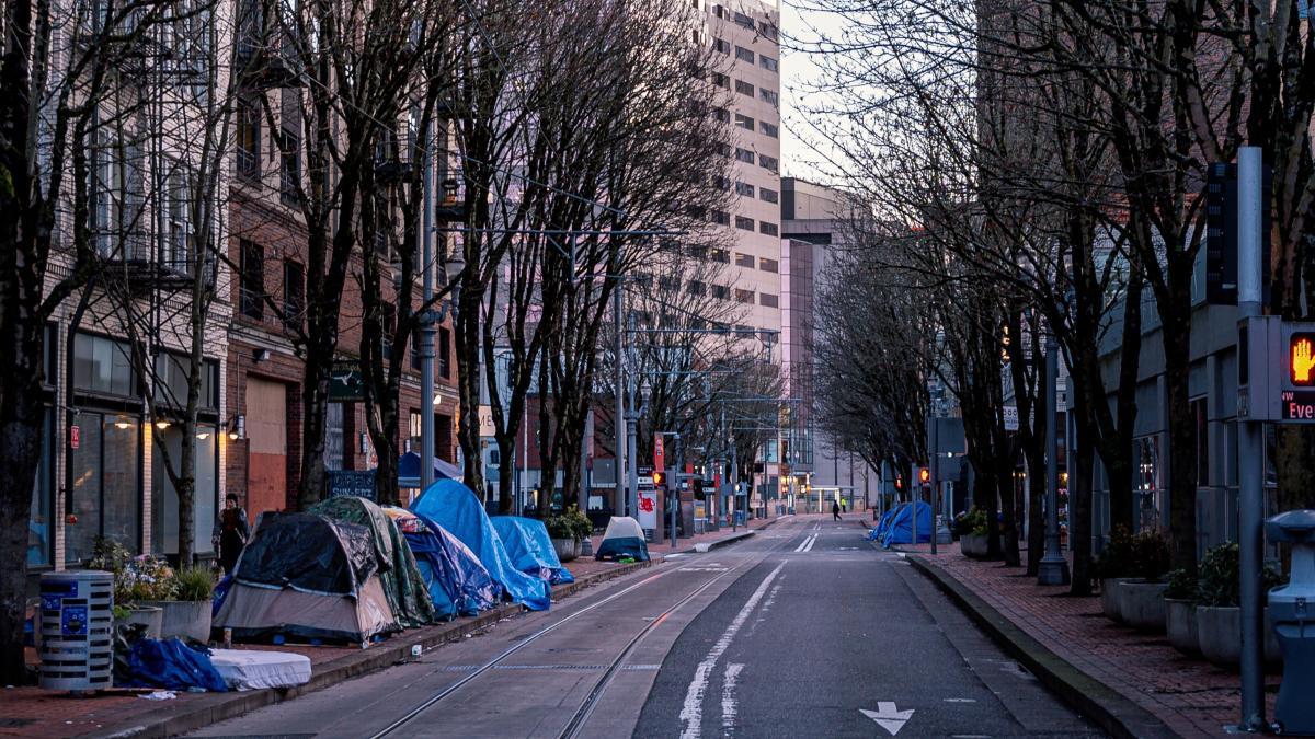 pexels-brett-sayles-7666331_41983300