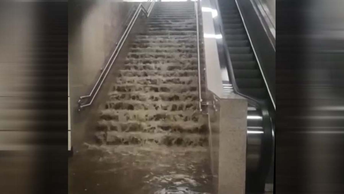 whatsapp-image-2022-06-14-at-17-41-54_99340400