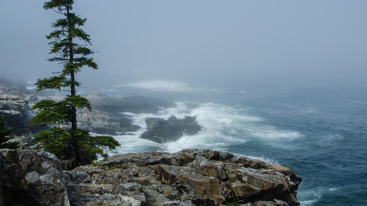 noaa-5krtairykyc-unsplash_21028500