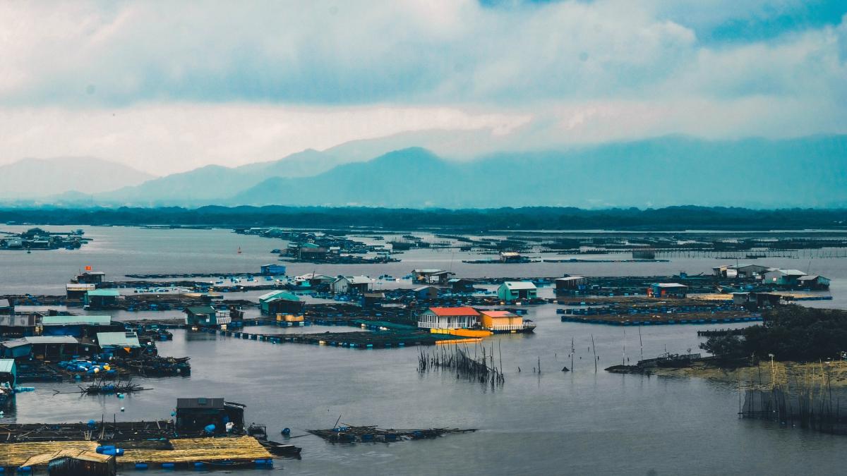 asigurare-pad_19655200