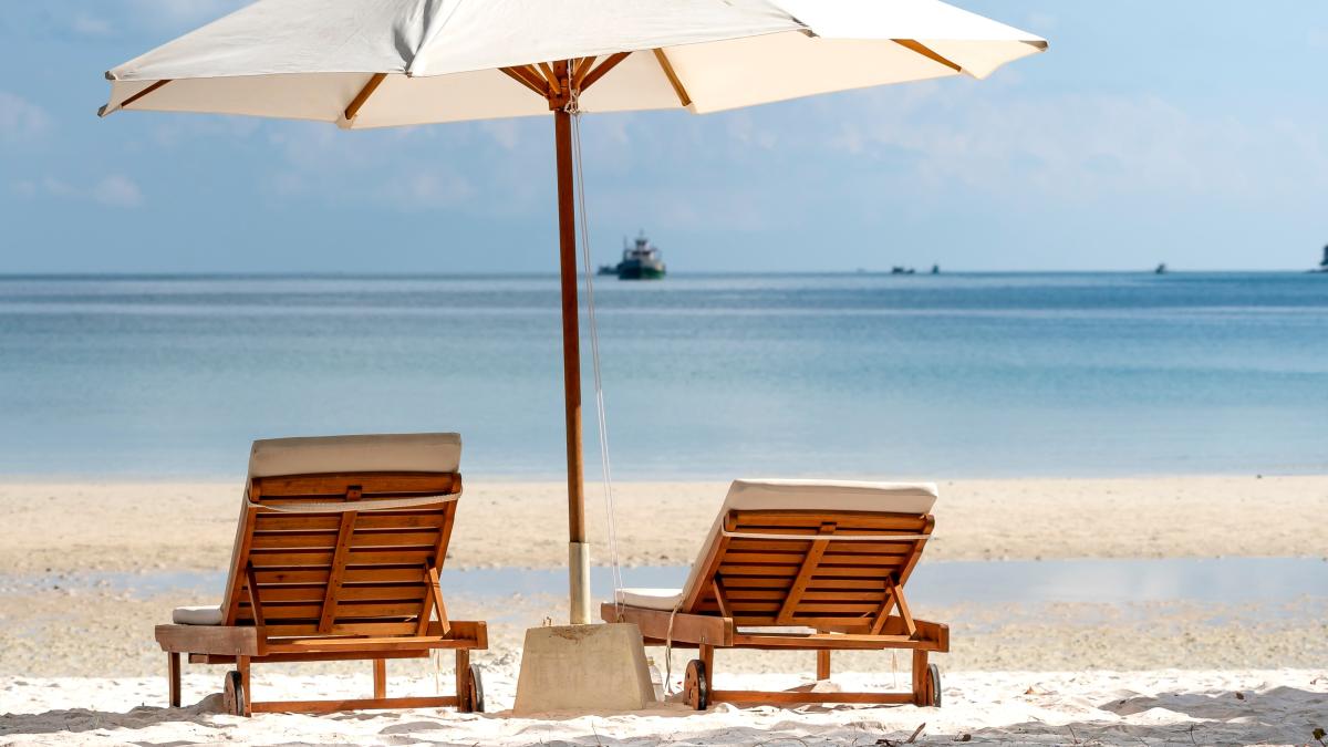 pexels-quang-nguyen-vinh-3355732_22297600