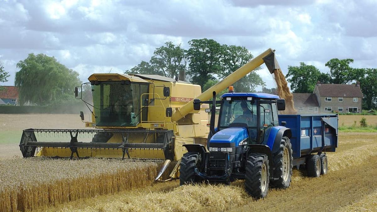 agricultura3_68248400