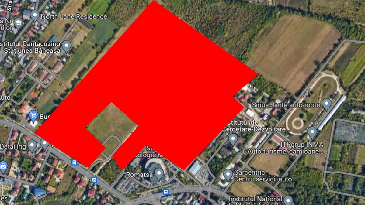 teren-ferma-regala-bneasa_06541600