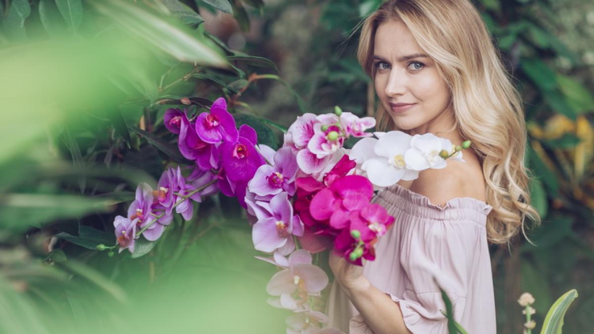 orhidee_resize_15656900