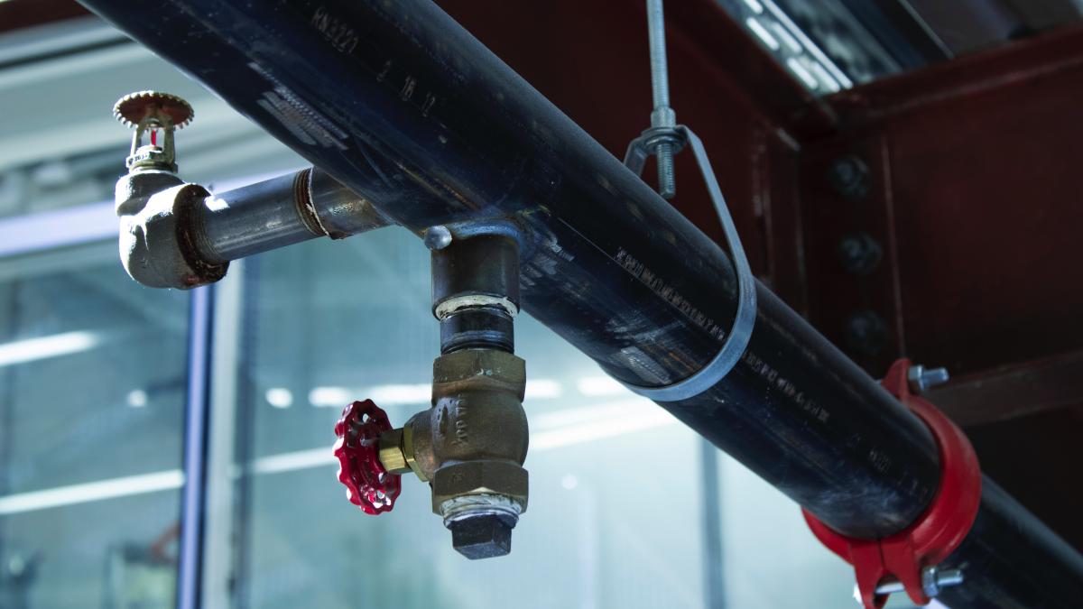 sebastian-morelli-peyton-dvqdk8mtp2i-unsplash_18639200